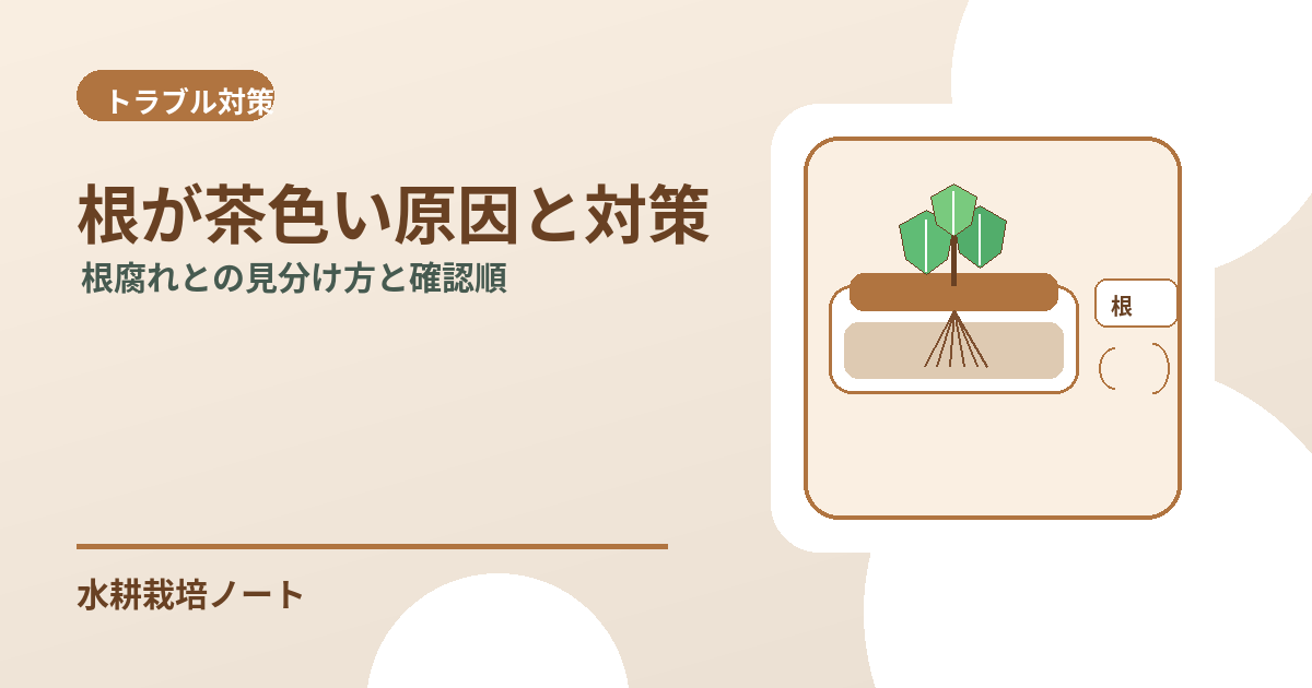 水耕栽培で根が茶色い原因と対策のアイキャッチ画像
