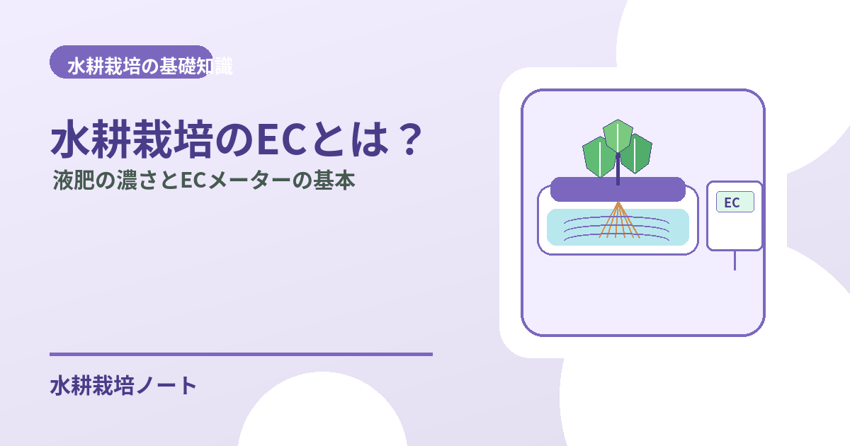 水耕栽培のECとは何かを解説するアイキャッチ画像