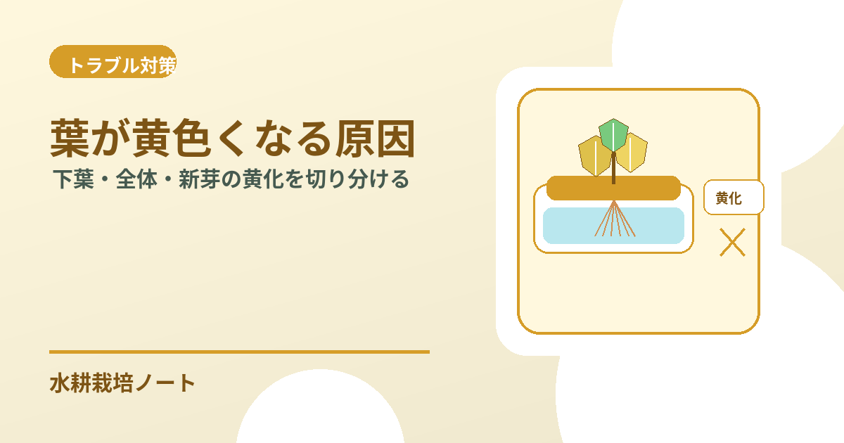 水耕栽培で葉が黄色くなる原因のアイキャッチ画像