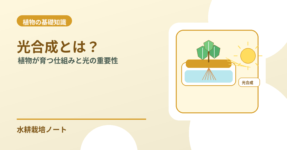 光合成とは何かを解説するアイキャッチ画像