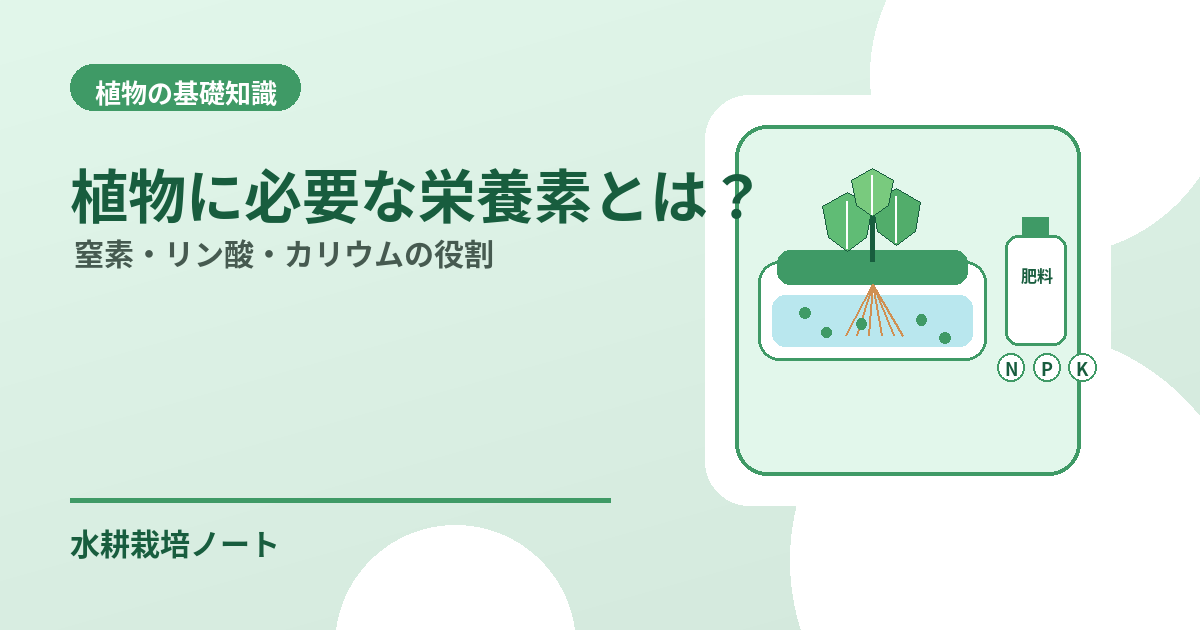 植物に必要な栄養素を解説するアイキャッチ画像