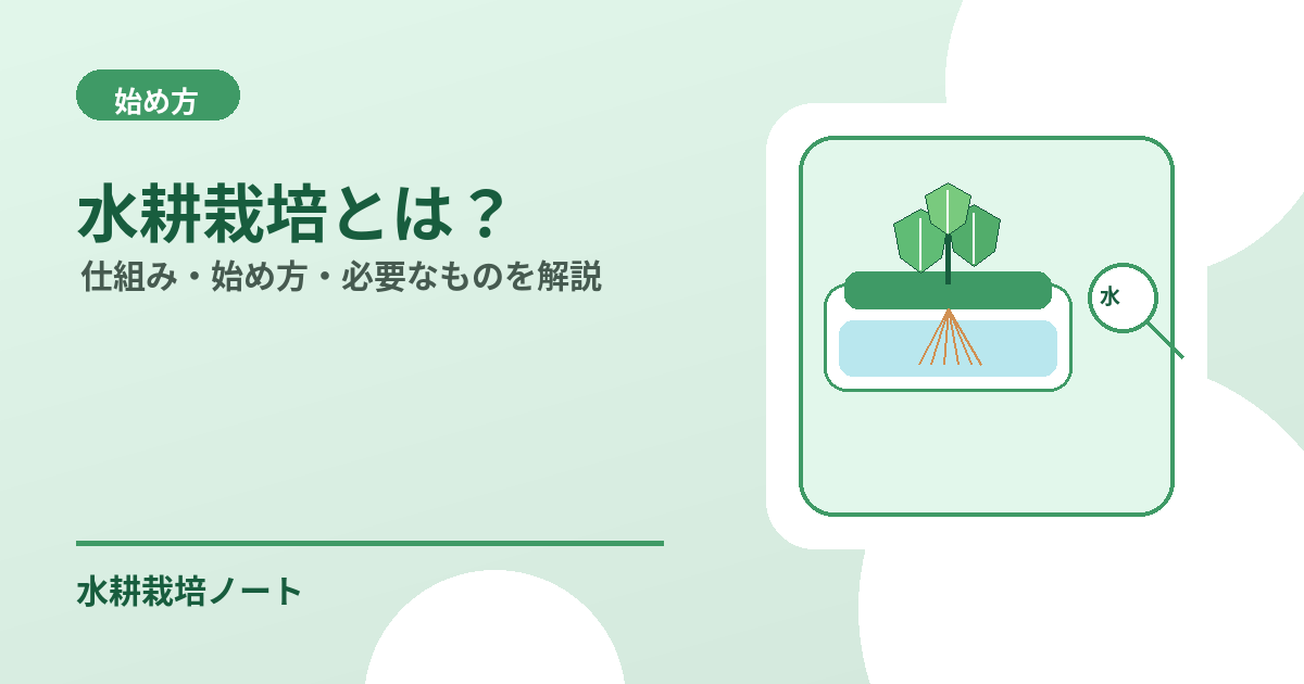 水耕栽培とは？のアイキャッチ画像