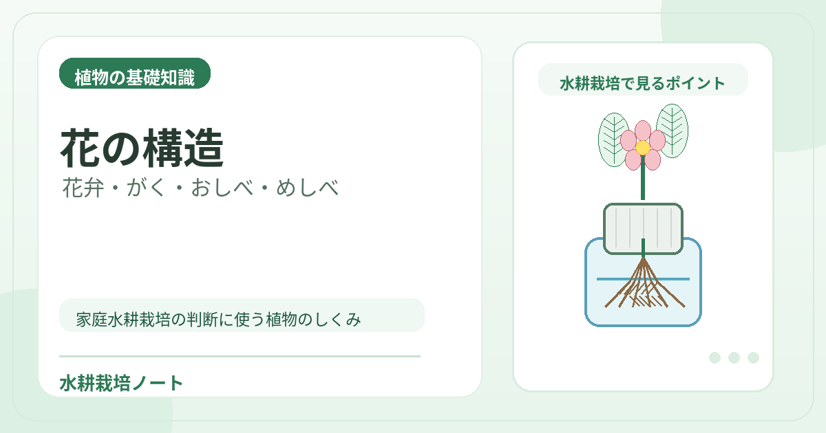 花の構造のアイキャッチ画像。水耕栽培で役立つ植物の基礎知識を図解。