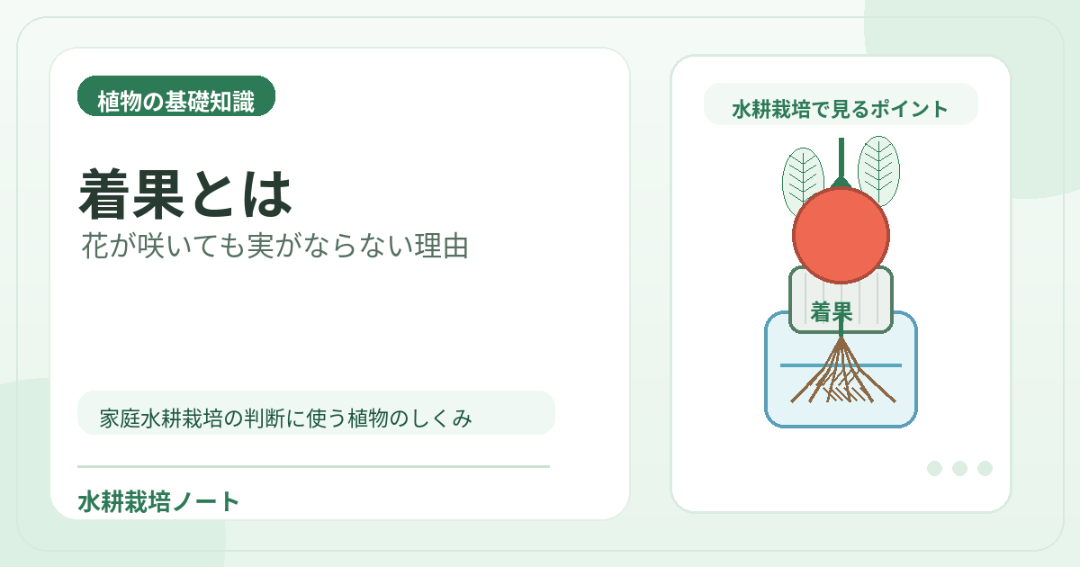 着果とはのアイキャッチ画像。水耕栽培で役立つ植物の基礎知識を図解。