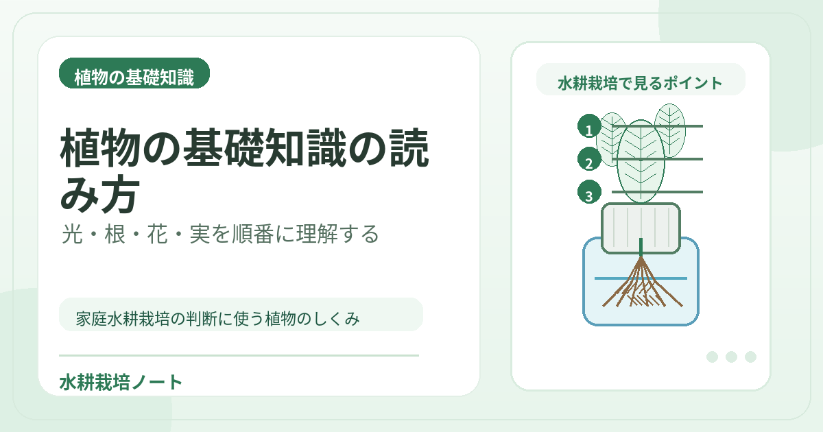 植物の基礎知識の読み方のアイキャッチ画像。水耕栽培で役立つ植物の基礎知識を図解。