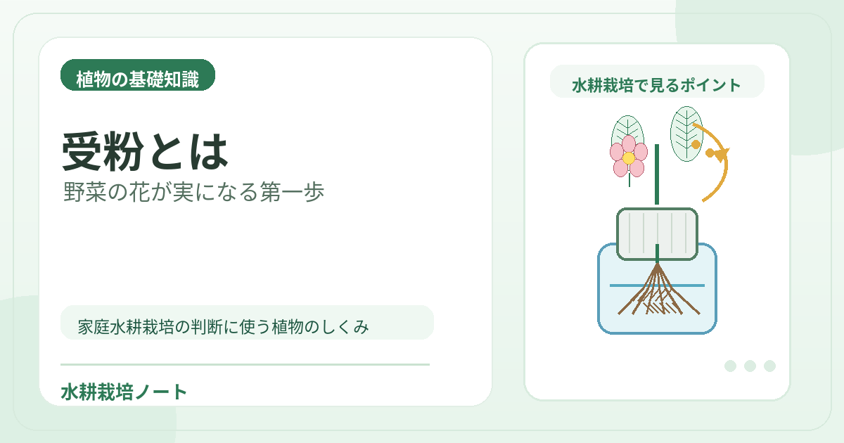 受粉とはのアイキャッチ画像。水耕栽培で役立つ植物の基礎知識を図解。